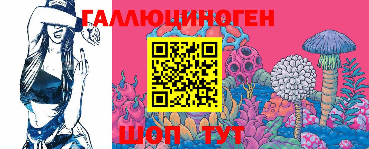 Галлюциногенные грибы Psilocybine cubensis  Вход с VPN  Белогорск 