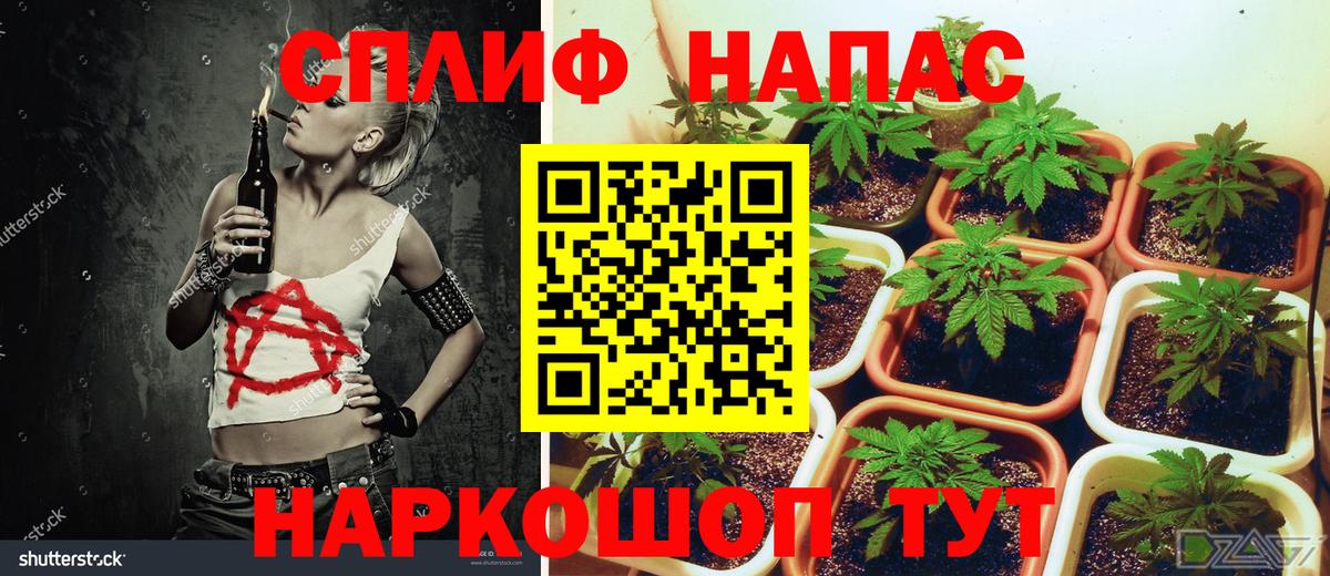 Шишки марихуана Bruce Banner  Вход с VPN  Каннабис SATIVA & INDICA  Шишки марихуана THC 21%  Белогорск 